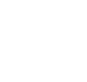 Accelerators Logo